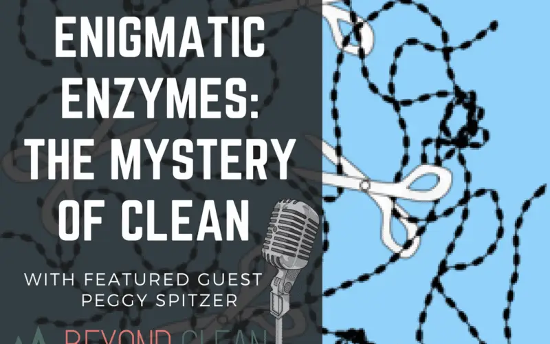 Peggy Spitzer: Enigmatic Enzymes - The Mystery of Clean (Part 2)