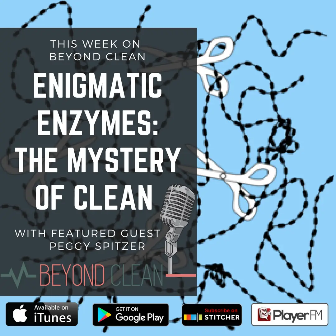 Peggy Spitzer: Enigmatic Enzymes - The Mystery of Clean (Part 2)