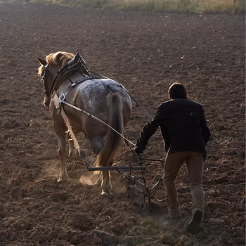 Put Your Hand To The Plow